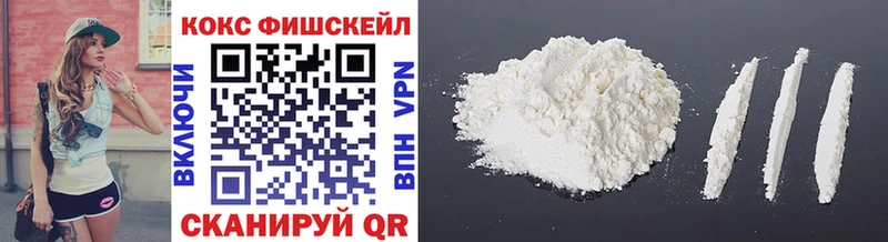 Cocaine FishScale  Купить закладки  Зерноград 
