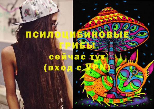 таблы Белокуриха