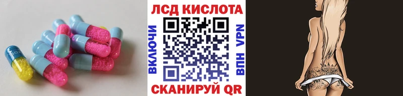 ЛСД экстази ecstasy  Купить  Зерноград 