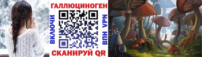 Псилоцибиновые грибы GOLDEN TEACHER Купить закладки Зерноград